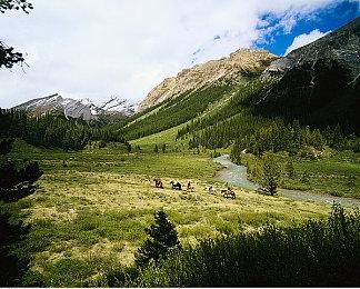 新老角色将带来的“惊喜”！ 《生化危机9》或将发布试玩版