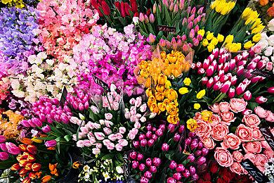 《女鬼桥二 释魂路》主机版预告片 10月登陆主机平台